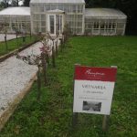 77f4177e-17ec-4e06-8fa9-0b6dd1a0e534