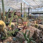 dff234c9-0058-4521-9bdf-12078f9d5e99