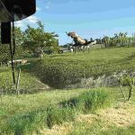 IMG_2288