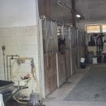 att.UqV69cVask-mq-FZIujS_l8vG8hDGombnihqw5ndtR8