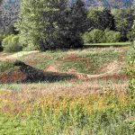 IMG_3686